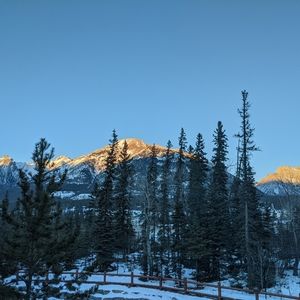 Meet your Posher, Annie